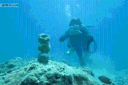 悬崖跳水运动